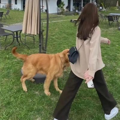 无回应的24号山 海报