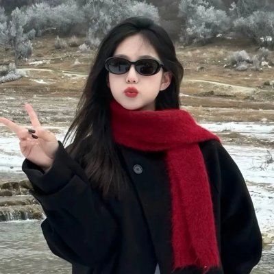 厨子当官 海报